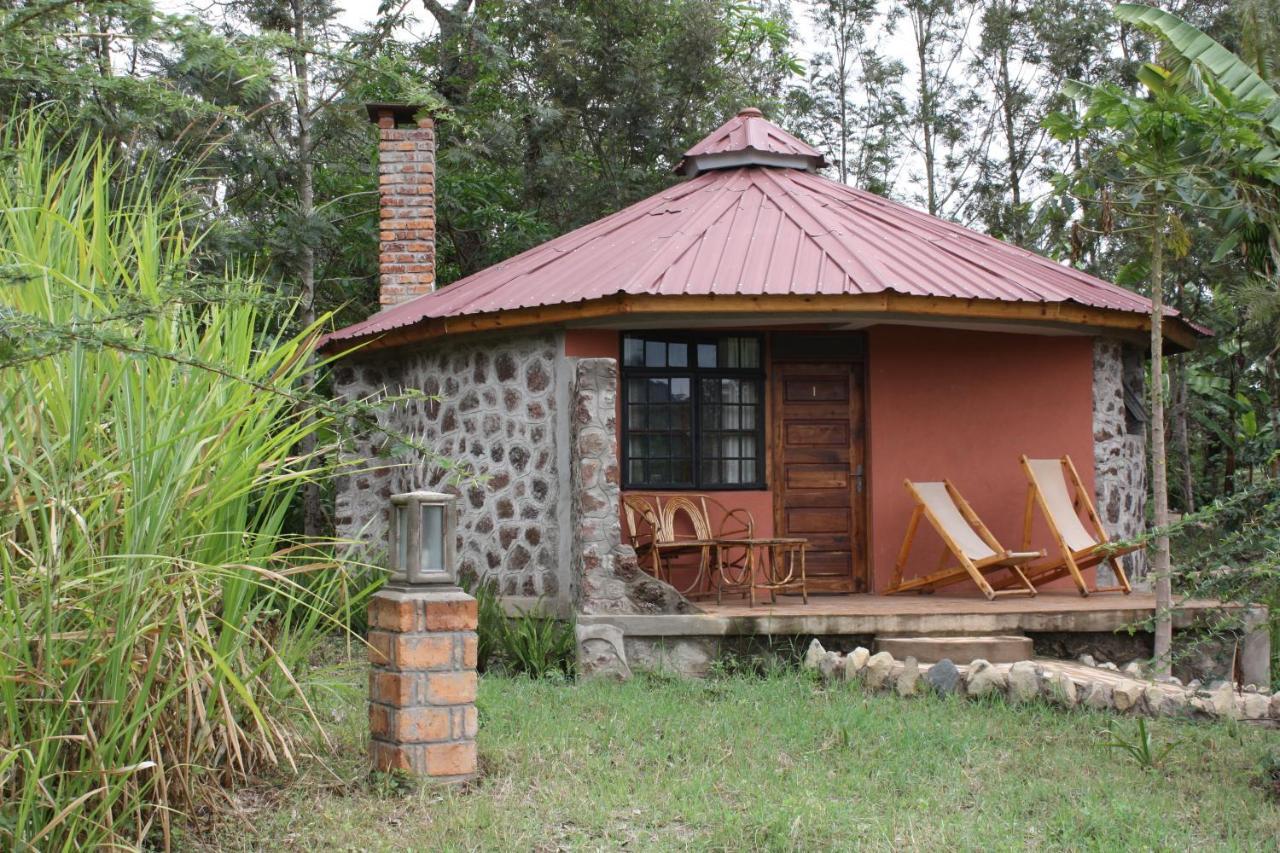 Kiboko Lodge Usa River Room photo