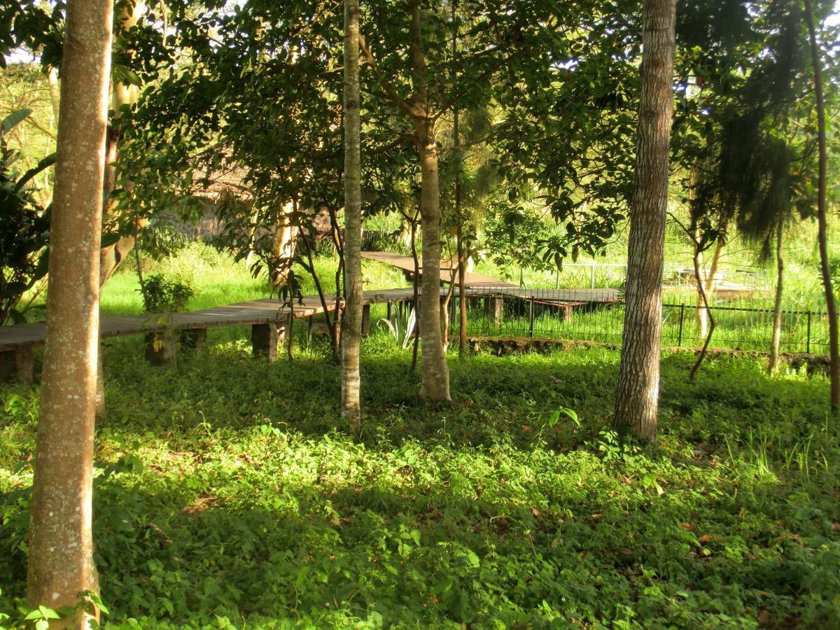 Kiboko Lodge Usa River Exterior photo