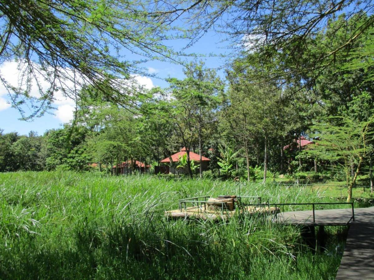 Kiboko Lodge Usa River Exterior photo