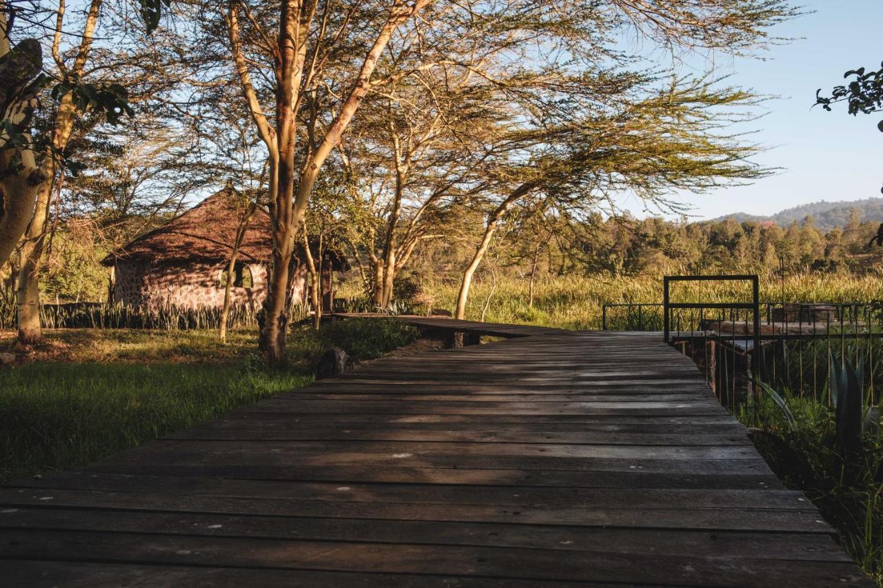 Kiboko Lodge Usa River Exterior photo